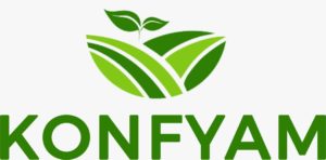 WhatsApp Image 2022-08-15 at 11.41.33